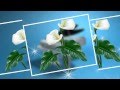 Шедевры инструментальной музыки_Фаусто Папетти_Маленький цветок_ 