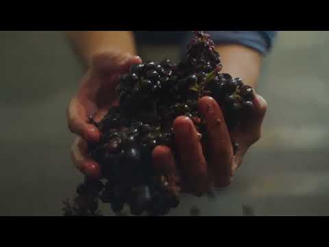 Small Wonder Wines