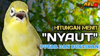 Download lagu CIAK CIAK JOSS KECIAL KUNING AMPUH||PANCINGAN KECIAL MALAS BUNYI|| mp3 Download lagu CIAK CIAK JOSS KECIAL KUNING AMPUH||PANCINGAN KECIAL MALAS BUNYI|| mp3