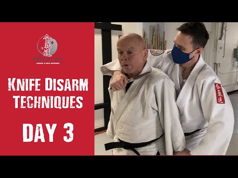 Knife Disarm Tactics | Knife Self Defense | Aikido Training | Day 3