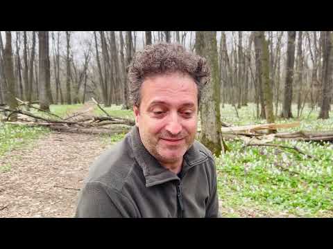 125 de ani de la nașterea poetului Alexandru Philippide