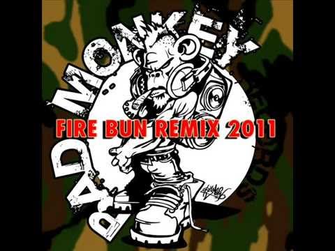 Tony Anthem and Erb n Dub feat  SMK & Navigator   Fire Burn (LSDee rmx)