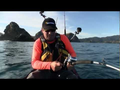 How to catch kingfish jigging from a kayak