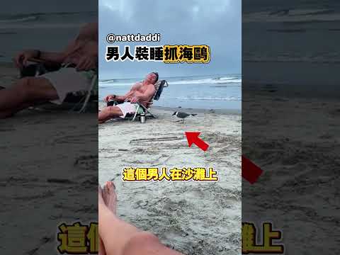 男人裝睡抓住一隻海鷗@nattdaddi