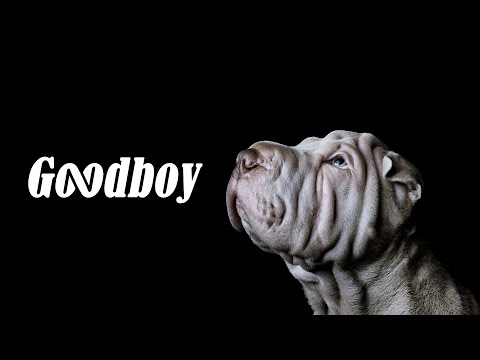 Goodboy Commercial