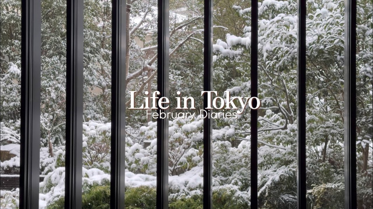 ENG/ 도쿄 브이로그 | 겨울과 봄 사이 그 어디쯤 ❄️🌸 10년 만의 폭설, 요즘 뜨는 로컬 맛집, 아자부다이 힐즈, 에르메스 블루박스 언박싱, 도쿄의 2월 일상 기록