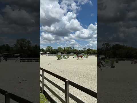 Gold Link video 1