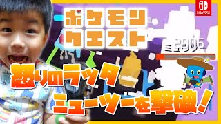 4歳児ゲーム実況【ポケモンクエスト】怒りのラッタミューツー撃破！