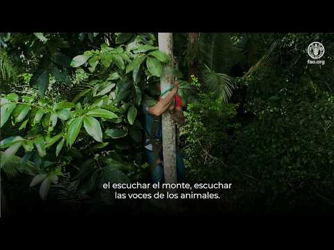 ¿SI el camino es quedarse?