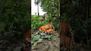 Download lagu Tiger🐆🐯video #animaltiger #tiger#tigerspotted #wildlife #angrytiger#wildtiger mp3 Download lagu Tiger🐆🐯video #animaltiger #tiger#tigerspotted #wildlife #angrytiger#wildtiger mp3