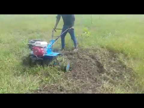 E agro care diesel power weeder / tiller (mini intercultivat...
