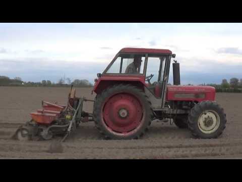 Landb  Buysse   Ursel