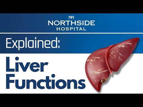 Your Liver Explained| The Importance of the Liver