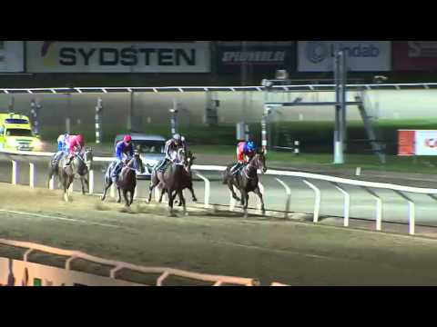 2015.10.08 Skånska Fältrittklubben Jubileumslöpning (SWE) - Energia El Gigante