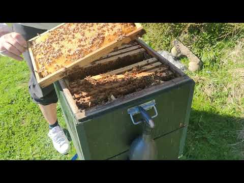 21/4 Kontroll inklusive varroa behandling