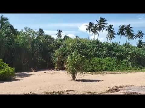 Prime beach front land at rakawa