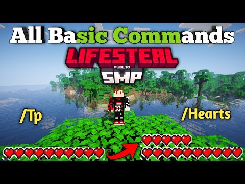 All Basic Commands in Lifesteal SMP || Applemc Server