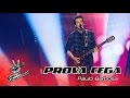 Paulo Barbosa - "Basket Case" | Prova Cega | The Voice Portugal
