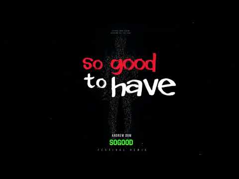 Andrew Dum - So Good (Festival Remix) [visualizer]