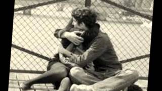 dejame amarte otra vez_ bronco