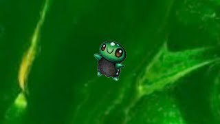 Bobby V. - Slow Down (Nikø Remix)