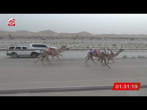  ش 3 (الظبي) لـ عبدالله محسن بن علي الزعابي 3:07 ، شارة الشيخ طحنون 2026/7/31 فطامين الخزنة