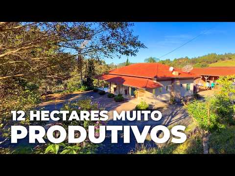 12 HECTARES MUITO PRODUTIVOS NO CATANGARA EM WITMARSUM-SC #sítio