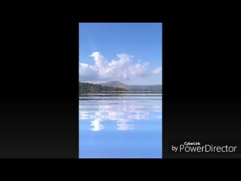 Kedazs-natural warrior dakey riddim instrument