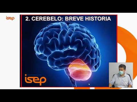 MasterClass - Raúl Espert (Máster en Neurorehabilitación)