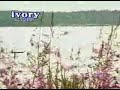 Swing Out Sister Breakout Ivory Records