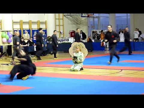 15. Branko Bosnjak Memorijal - Bujinkan Seishin Dojo demo team