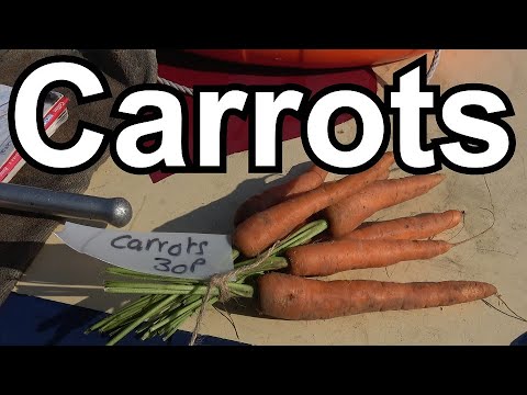 227. I buy VEGETABLES while cruising on my NARROWBOAT! It's very EXCITING hence the random CAPITALS