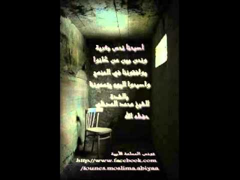 1182336 691180024232059 22595 n