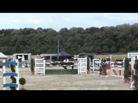 Check me out / 7 jährig von ContendroII x Wendekreis / S*