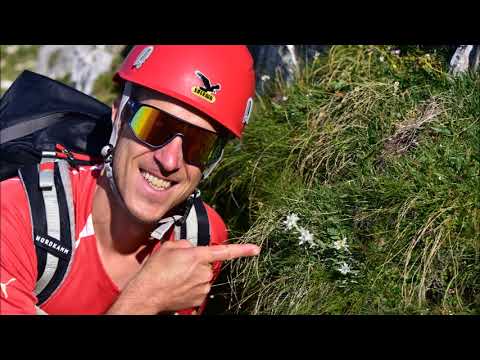 Montasch Findenegg- Scala Pipan - Leva Klettersteig - Terrarossa