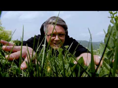 FUEGO - NOROC - NOU 2020