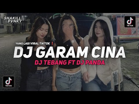 DJ GARAM CINA VIRAL TIKTOK ❗DJ TEBANG FT DJ PANDA 