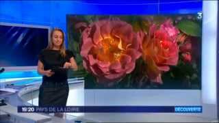 preview picture of video 'JT de France 3 TV. Accordeur, accordage, transport de piano,  animation aux jardins'
