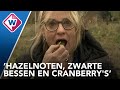 Eerste voedselmoerasbos van Nederland in Den Haag - OMROEP WEST