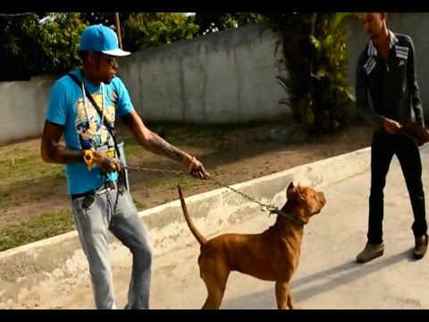 Vybz Kartel - Mad Dawg (Official Audio) Knock Weh Riddim - 2015