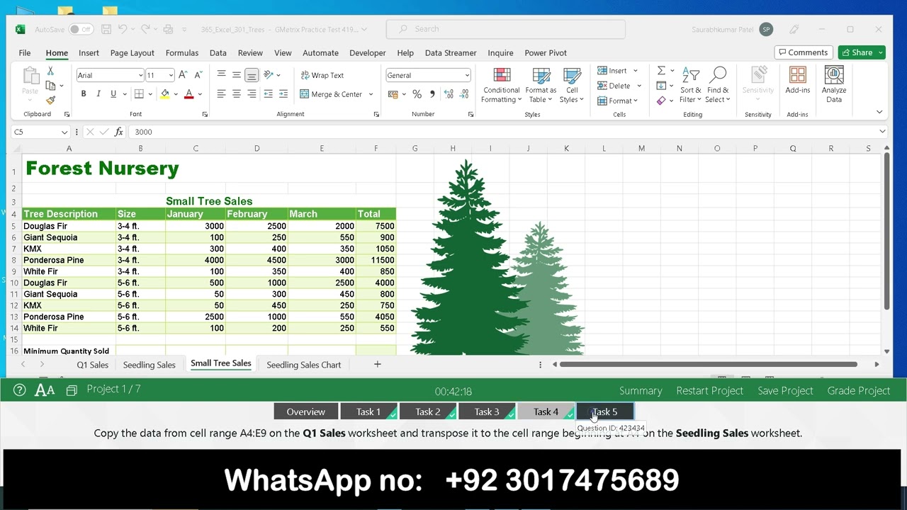 Excel 365 Practice Exam 3 Testing