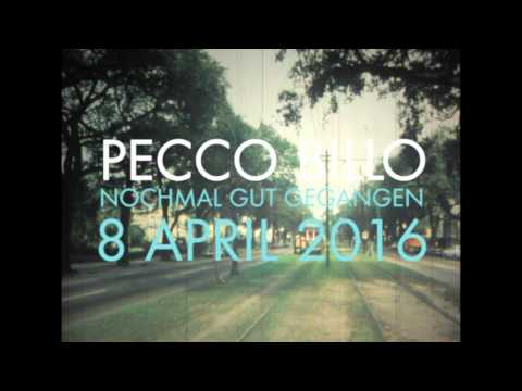 Pecco Billo - Nochmal gut gegangen Teaser