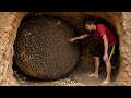Why Is This Underground Beehive So Small Could the Queen Bee Be the Reason