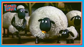 BRAVE TIMMY SAVES THE RAINY DAY ⛈️🐑🍼 | Timmy & Friends