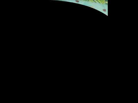 𝐻𝒶𝓅𝓅𝓎 𝐵𝒾𝓇𝓉𝒽𝒹𝒶𝓎 𝑀𝒴𝐵𝓇𝑜 𝐹𝐼𝑅𝒟𝒜𝒰𝒮👦❤️