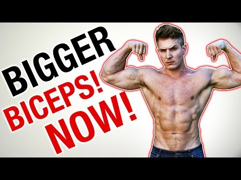 Muscular Strenght Title