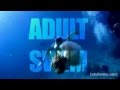 Adult Swim Wiggle With It