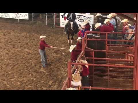 213 Good Time Charlie 85.5 Tilden Hooper Weatherford 2017