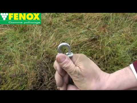 download lagu mp3 mp4 Ancrage Fenox, download lagu Ancrage Fenox gratis, unduh video klip Ancrage Fenox