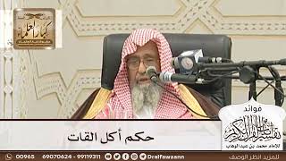 [123] حكم أكل القات - صالح الفوزان